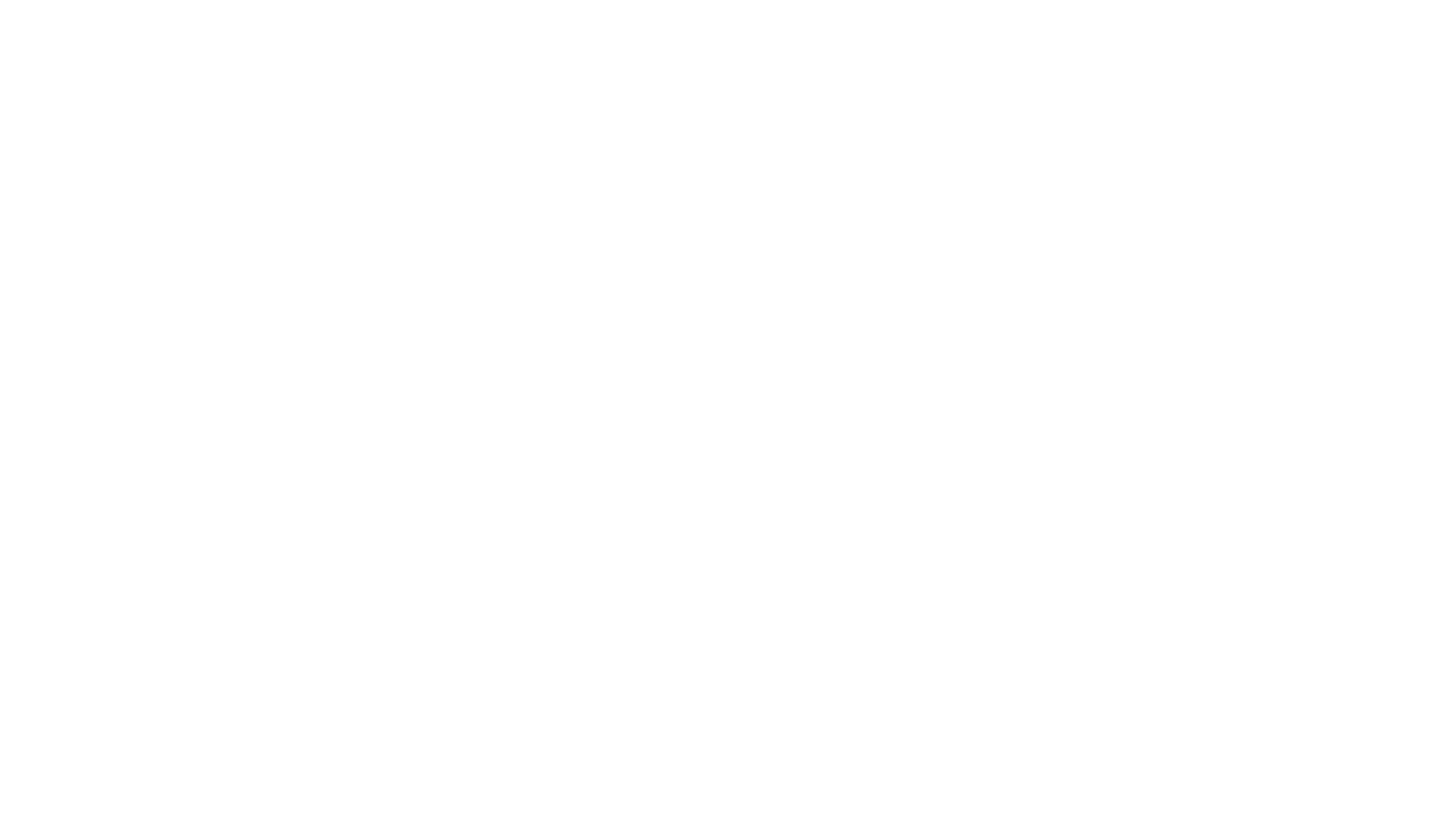 Brooklands Watch Co