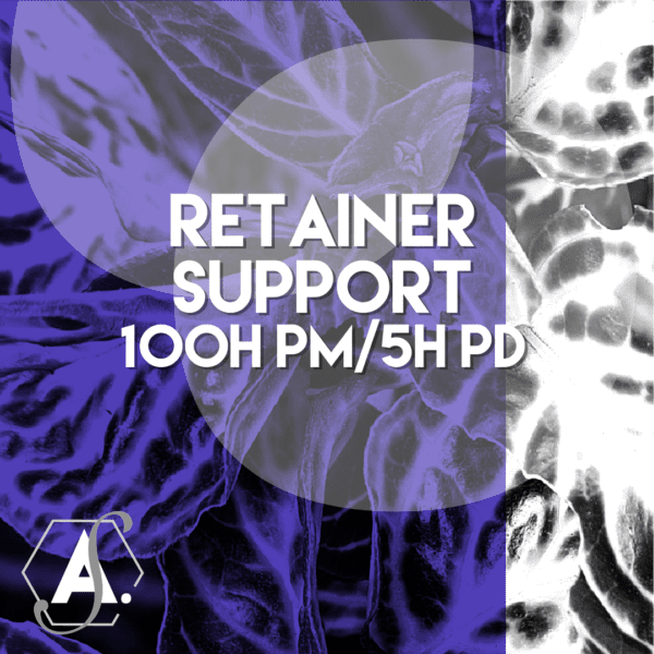 Retainer Support - 100 hours