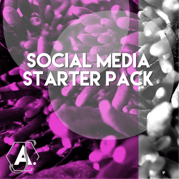Social media starter pack